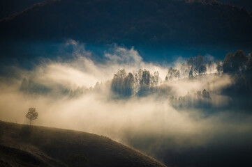 Canvas Print - amazing foggy autumn landscape in the mountains