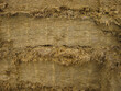 © A Linscott - Grass silage silage in close up on a dairy farm, North Yorkshire, England, United Kingdom