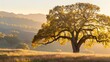 © Chaikit - A majestic old oak tree bathed in the soft, golden morning light, its leaves gently rustling, creating a serene and timeless natural scene.