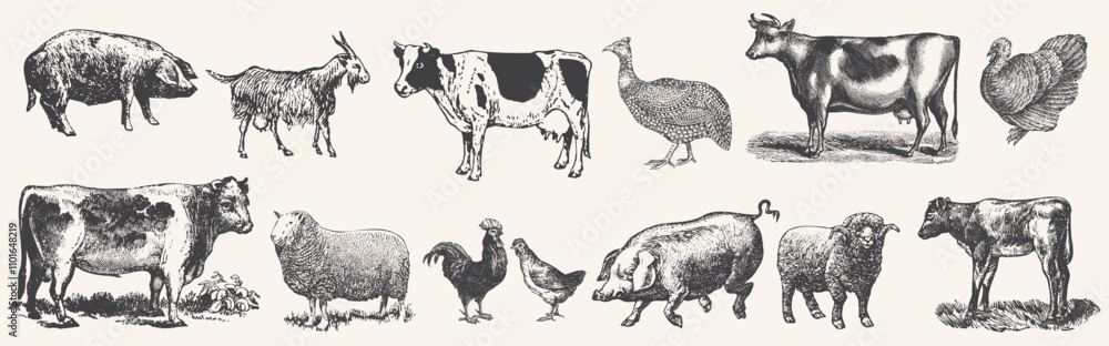 Large set of farm animals. Hand drawn big farm animals set. Livestock ...
