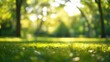 © AbstractAI - Serene park scene with blurred green trees and soft bokeh lighting, showcasing lush lawns and natural foliage in an abstract outdoor environment.