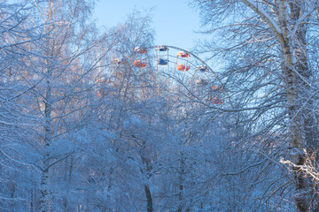 Wall Mural - snow-covered trees in the city park with the ferris wheel attraction, winter day
