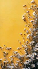 Wall Mural - Bright yellow background framed with delicate white flowers creates a cheerful, uplifting atmosphere