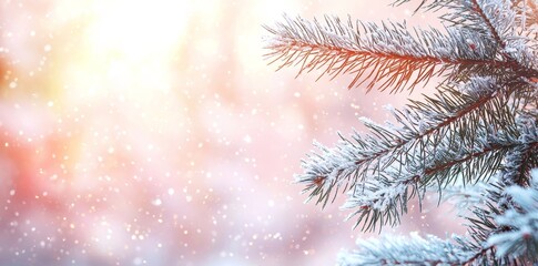 Aufkleber - This winter background image features frosted spruce branches and small drifts of snow with bokeh lights and text space.
