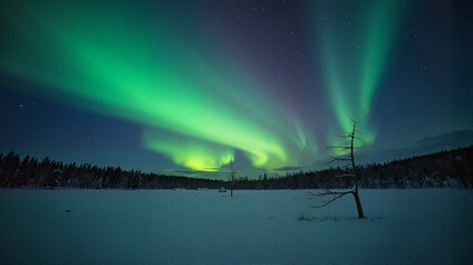 Wall Mural - Northern lights over a snowy winter landscape