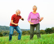 © Lumos sp - woman man outdoor senior couple happy elderly training active exercise stretching fitness  retirement together love dancing nature mature