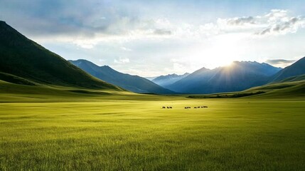 Wall Mural - vast green landscape with mountains in the background at sunrise