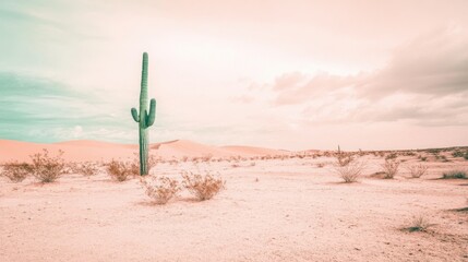 Canvas Print - Serene Desert Landscape with Majestic Cactus at Sunset