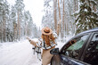 © maxbelchenko - Happy woman near a car in a snowy forest. Winter vacation on the car.