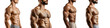 © Sara_P - A side view of a man's toned abdomen muscles with subtle skin texture, natural lighting isolated on white and transparent background