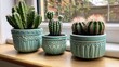 © Pannin - Three cactus plants of different sizes in matching pots, neatly arranged on a wooden windowsill.