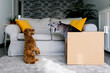 © ADDICTIVE STOCK - Dog Sees Leopard in a Box: Playful Surprise at Home