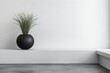 © pham - モダンな部屋の一角に置かれた黒い鉢植えと緑の植物