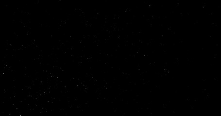 Wall Mural - Natural Organic Dust Particles Floating On Black Background. Dynamic Dust Particles Randomly Float In Space. Shimmering Glittering Dust Particles With Bokeh. Slow motion on Black Background.