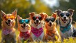 © Koko Art Studio - Dogs with sunglasses and bandana posing for studio fashion shoot, cool gang puppy, creative funny animal pet character in costume. Halloween national celebration event editorial advertisement banner.