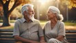© Yaroslav Khudobyak - senior couple in park