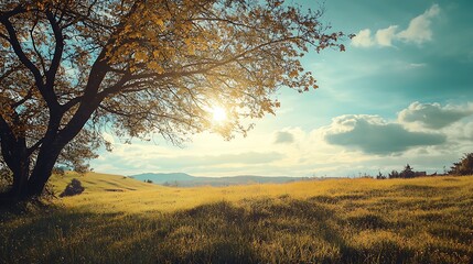 Wall Mural - Sunny Meadow Landscape with Tree