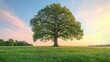 © Thamonchanok - Lone tree standing in a vibrant green field under a colorful sunset sky.