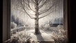 © asadykov - window winter snow frost icicles sunlight tree tranquil view frozen morning
