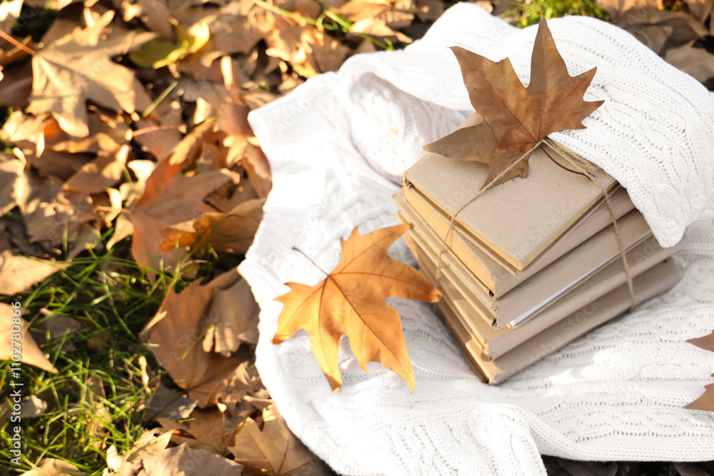Stack of books with autumn leaves on warm sweater in park