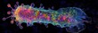 © mangolovemom - A vibrant, microscopic image of a colorful organism, showcasing intricate patterns and textures against a dark background.