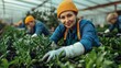 © Irfan - Workers and seedlings in the greenhouse.