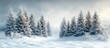 © GenZGraphics - Winter wonderland backdrop showcasing snow-covered fir trees in a serene landscape with ample space for text inviting a magical holiday atmosphere