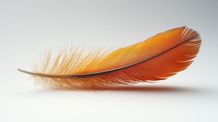 Poster - Vibrant orange feather gently resting on a soft white background showcasing delicate texture and natural beauty in a minimalist style
