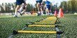 © hobonski - Agility Ladder Drills. A low angle, close up shot of an agility ladder lying on artificial turf with athletes in soft focus in the background. Focus is sharp on the ladder, providing a dynamic sense.