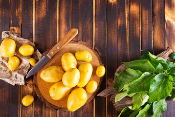 Wall Mural - raw young potatoes on a table