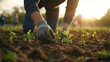 © Narongdet - Planting seeds for a sustainable future community garden action in nature outdoor environment close-up view environmental stewardship
