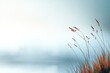 © Atlas Studio - Tranquil morning by the lake with soft mist and delicate grasses swaying in the breeze