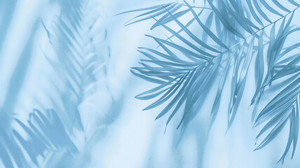 Wall Mural - light blue background palm leaves and copy space, summer backdrop