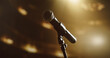 © Gorodenkoff - Close Up of a Stage Mic at a Concert. Empty Shot Without People. Party Atmosphere, Anticipation Before a Live Concert Starts. Microphone Before a Performance