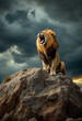 © abu - A lion roars from a rocky outcrop beneath a stormy sky.