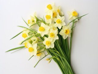 Wall Mural - A stylish bouquet of narcissus with green spikelets set against a white background