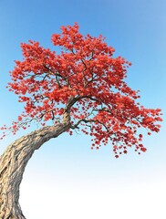 Wall Mural - a sprawling branch heavy with crimson maple leaves stretches out from the trunk of a majestic oak tr