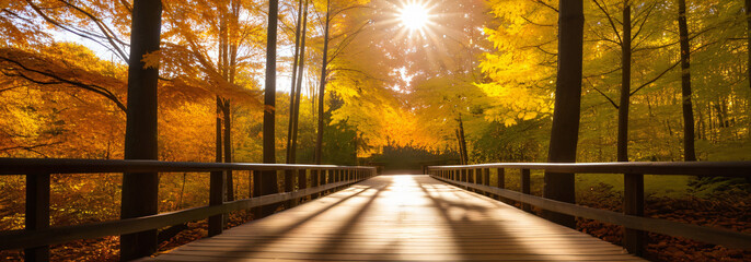 Wall Mural - Warm sunlight filters through autumn trees onto a wooden walkway, casting a peaceful glow on fallen leaves beneath.