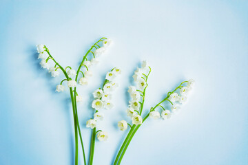 Wall Mural - flowers lily of the valley on a light background.