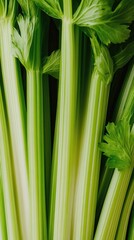 Wall Mural - Fresh celery stalks arranged in a vibrant display, showcasing their lush green color and rich texture in high resolution