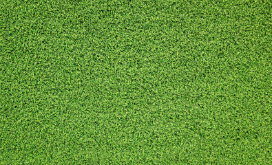 Canvas Print - artificial green grass texture background.