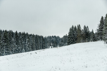 Eine winterliche Wanderung zum Bahnhof Rennsteig im verschneiten Thüringer Wald - Schmiedefeld - Thüringen - Deutschland