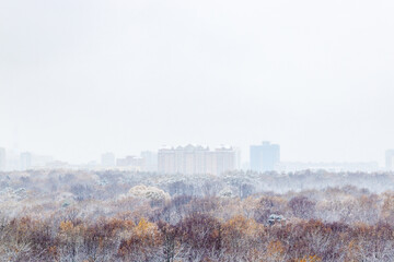 Wall Mural - overcast sky over city park covered with snow