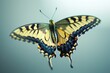 © Alla - A yellow and black butterfly sits on a blue background, its wings spread wide