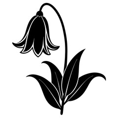 Wall Mural - black and white bluebell flower