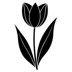 Wall Mural - black and white tulip flower