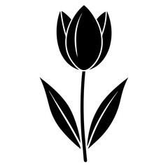Wall Mural - black and white tulip flower