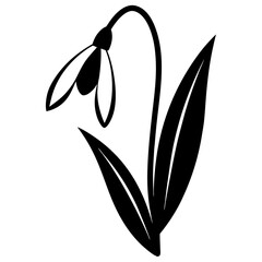 Wall Mural - black and white flower