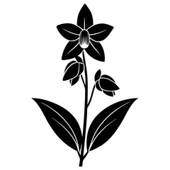 Wall Mural - black and white flower