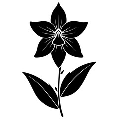 Wall Mural - black and white flower